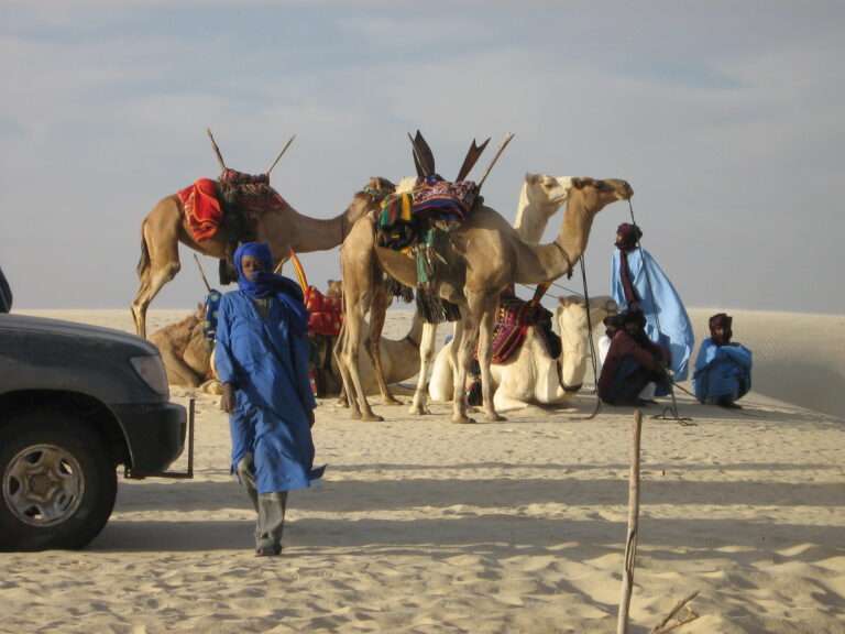 Édition 2007 - photo : Maya Lefebvre.