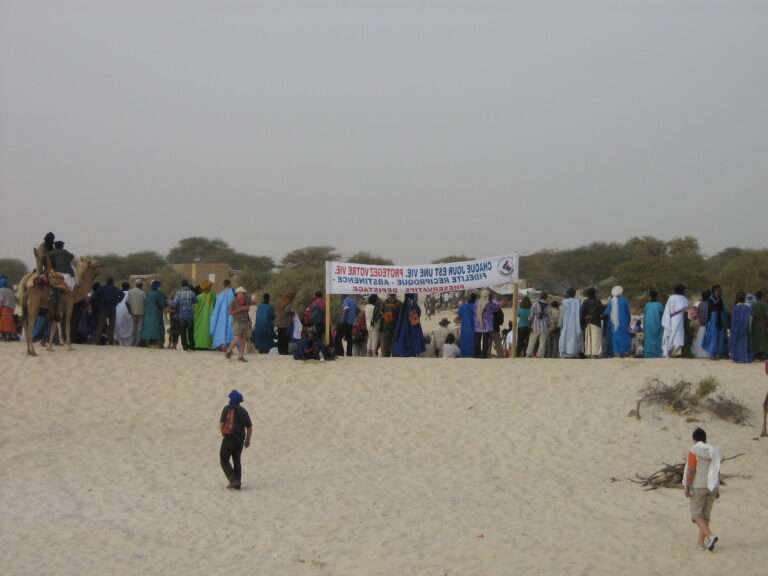 Édition 2007 - photo : Maya Lefebvre.