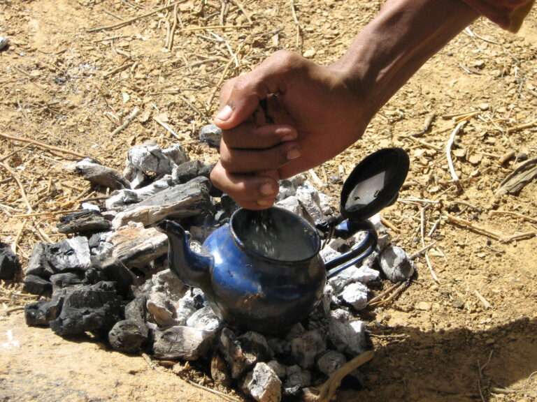 Édition 2007 - photo : Maya Lefebvre.