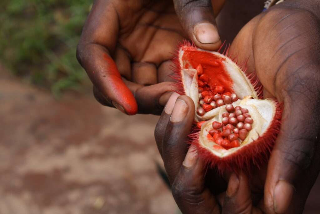 photo-maya_lefebvre-afrs_swaziland_tanzanie-tanzibar (18)