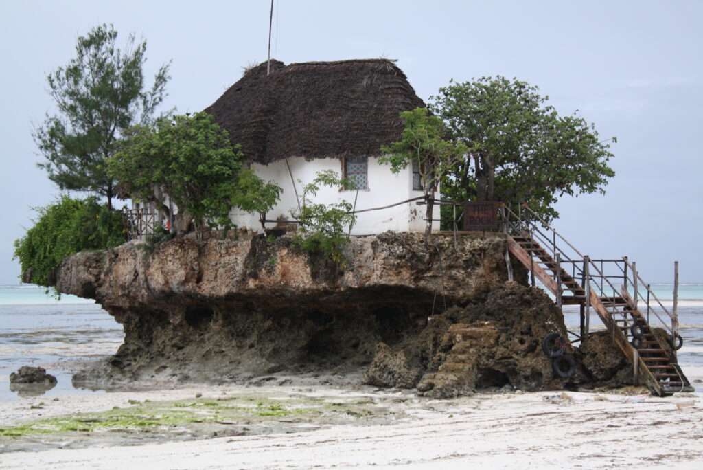 photo-maya_lefebvre-afrs_swaziland_tanzanie-tanzibar (23)