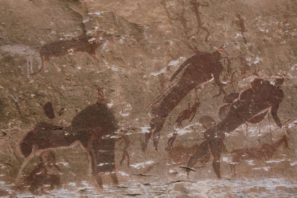 photo-maya_lefebvre-afrs_swaziland_tanzanie-tanzibar (4)